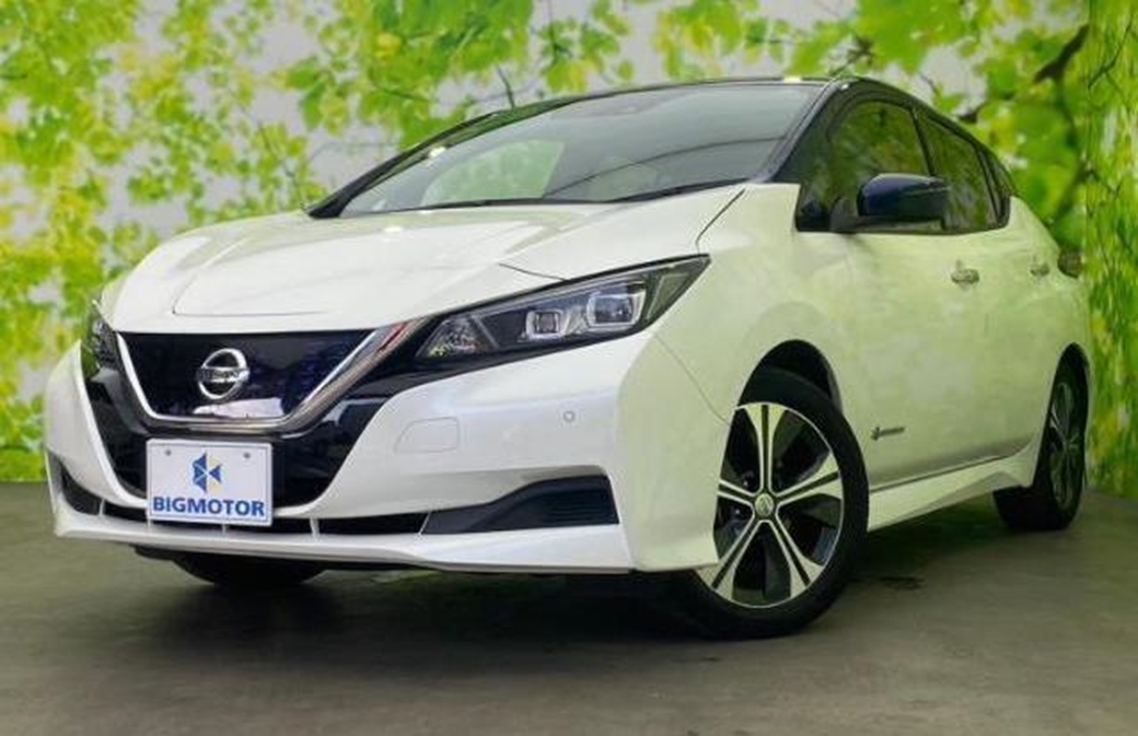 2018 Nissan Leaf 34,000kms | Image 1 of 18
