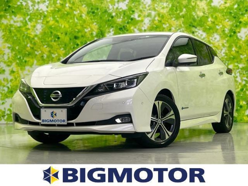 2018 Nissan Leaf 51,000kms | Image 1 of 18